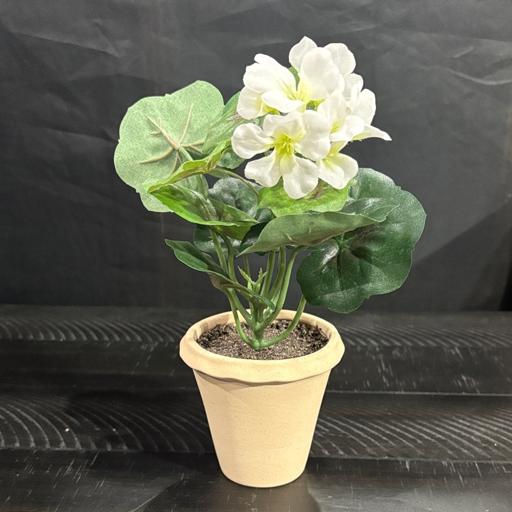 Threshold Artificial White Geranium plant